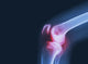 Oronia MSM Joint Recovery